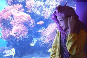 上海未来40天天气预报奉贤区，上海未来40天天气预报奉贤区疫情？